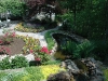 above-the-waterfall-overloo