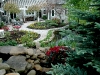 Spring- rear patio