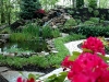 Spring-rear patio