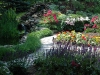 may-gardens-may-night-salv