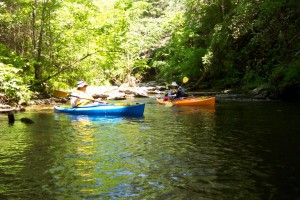 Smoky Mountain Kayaking on Abrams Creek