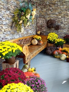 Fall Display 2009 Fall Display 2009
