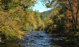 River at Metcalf Bottoms Picnic Area