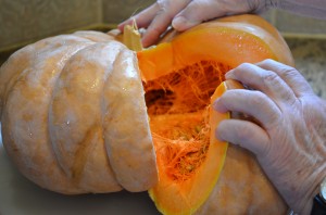 Winter Squash Soup- Pumpkin 001 Winter Squash, Pumpkin