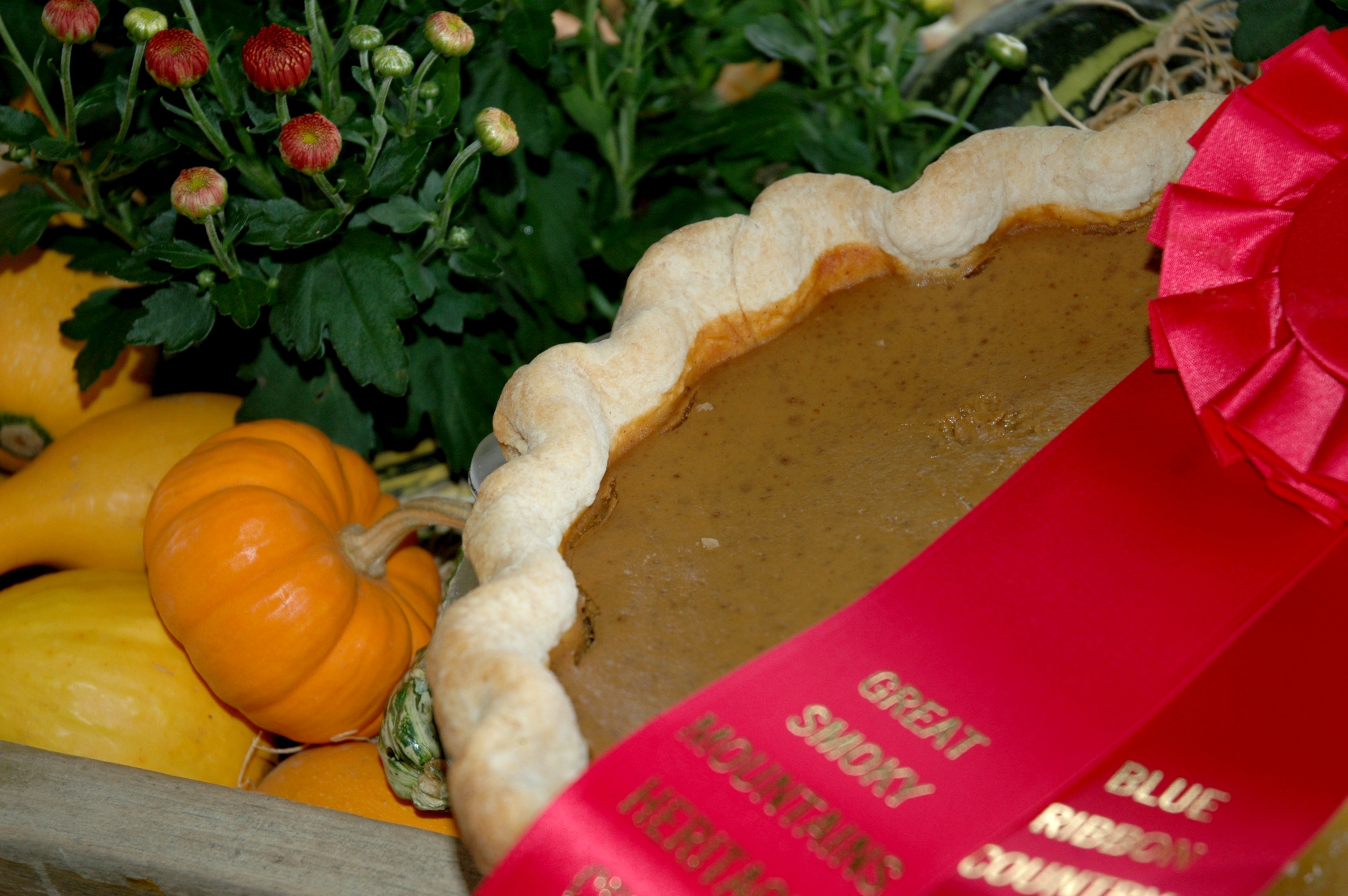 Award Winning Pumpkin Pie Recipe