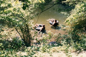 Tubing the Little River in Townsend, Tennessee