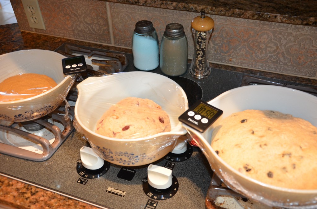 Timing the First Rise of 3 breads